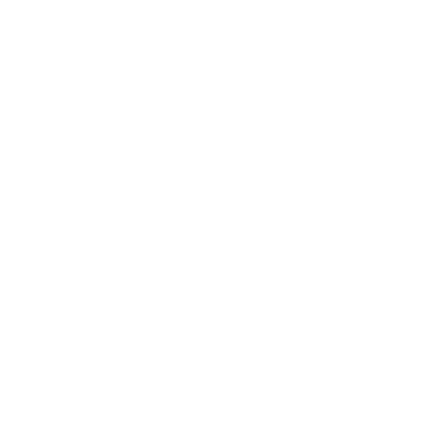 Implant Bridge